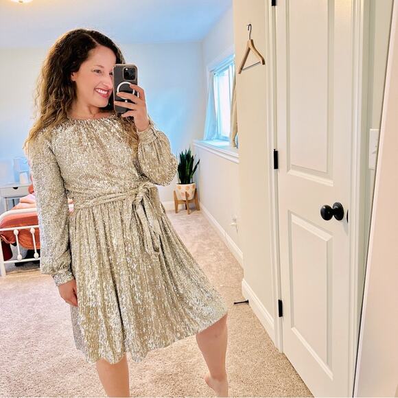 NWT Anthropologie Sachin & Babi Silver Sequin Mini Dress 4 - Picture 1 of 16